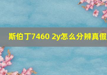 斯伯丁7460 2y怎么分辨真假